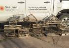 San Juan prohíbe la venta y uso de jaulas tramperas para proteger la fauna
