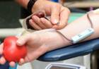 Salud informa el cronograma de colectas de sangre del IPHEM de octubre