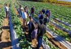Producción continúa impulsando acciones para acompañar a los horticultores