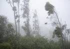 Protección Civil: temporal con nevadas, viento Zonda y descenso de temperaturas durante varios días