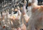 El pollo superó a la carne vacuna en consumo por primera vez