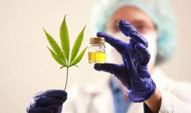 Comenzó el expendio de cannabis medicinal producido en San Juan