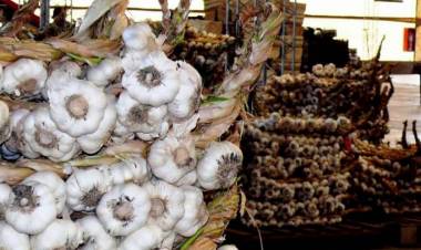 Ministerio de Producción, Trabajo e Innovación: “Las exportaciones tradicionales se recuperaron un 37% en el primer trimestre del año”