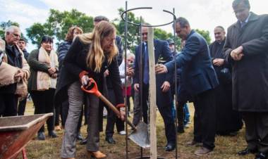 Plantaron un olivo como símbolo de la paz en la semana de la olivicultura