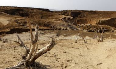 Alerta global: el 78 por ciento de la tierra está más seca que en 1990 y cuáles son las dos regiones argentinas en el “mapa caliente”