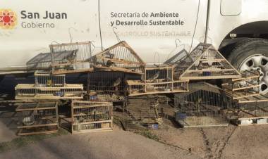 San Juan prohíbe la venta y uso de jaulas tramperas para proteger la fauna