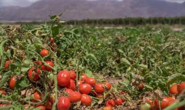 Habilitan créditos para productores afectados por contingencias climáticas
