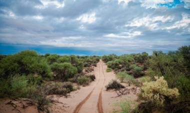 Ambiente lanza concurso para visibilizar el valor del bosque nativo a través de la fotografía