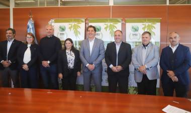 San Juan será sede del certamen que elegirá los mejores aceites de oliva del hemisferio sur