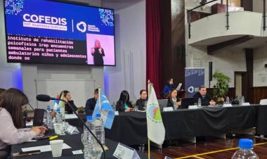 San Juan será sede del próximo Consejo Federal de Discapacidad