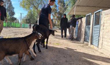 Con más de 1.500 alumnos, así será la expo de las escuelas agrotécnicas