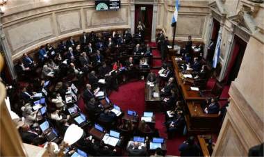 El Senado rechazó el veto de Milei y reactivó la ley de Emergencia en Discapacidad