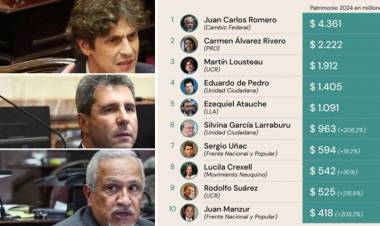 Romero, Lousteau, De Pedro y Uñac entre los senadores millonarios de Argentina