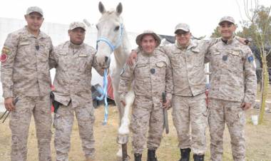 La División Rural recupera y cuida caballos rescatados del maltrato
