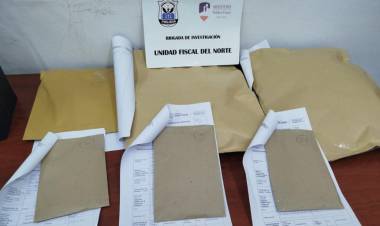 Actuación de Oficio: La UFI del Norte inició una investigación con allanamientos y secuestros  ante  el video del puma  atacado por perros y la participación  de personas