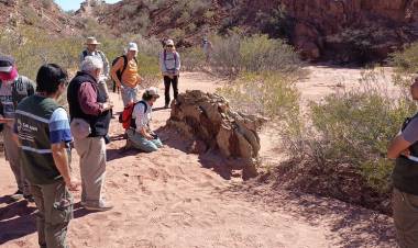 Ambiente fortalece la conservación del Área Protegida La Ciénaga con un relevamiento científico