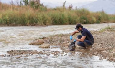 Peces muertos en Cuesta del Viento: señales que todavía no se logran explicar