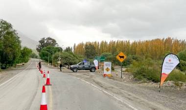 Ambiente solicita bajar la velocidad en rutas para proteger la fauna silvestre