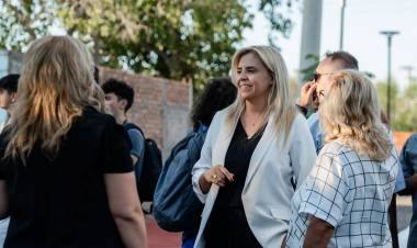 Pirotecnia sonora cero y juramento de funcionarios,  proyectos de ley presentados por la diputada  nacional Nancy Picón