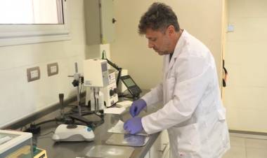 Un proyecto científico apuesta a la creación de una empresa tecnológica para innovar en medicamentos