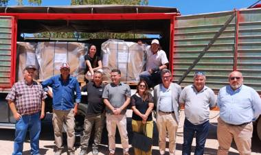 Jáchal logró la primera exportación de semillas de cebolla a Países Bajos