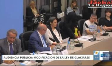 Audiencias Públicas por Glaciares: Una “farsa organizada” con manipulación de exponentes y final incierto