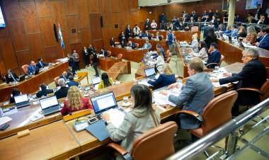 Diputados aprobó el repudio a las declaraciones del gobernador riojano, con abstención de la mayoría de los legisladores peronistas