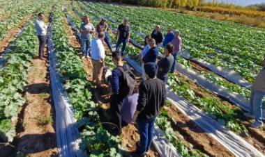 Producción continúa impulsando acciones para acompañar a los horticultores