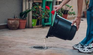 Dengue: recomiendan sostener las medidas de prevención y eliminar criaderos