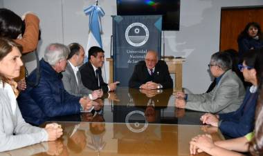 San Juan relevará y protegerá sus árboles de valor patrimonial