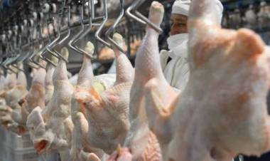 El pollo superó a la carne vacuna en consumo por primera vez