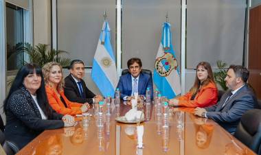 Nueva herramienta para matriculados: acceso digital a planos de mensura con validación oficial