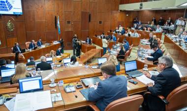 Luego de mucho tiempo e incontables pedidos, el diputado por Jáchal, presentó sobre tablas el proyecto sobre la protección de Pampa del Chañar