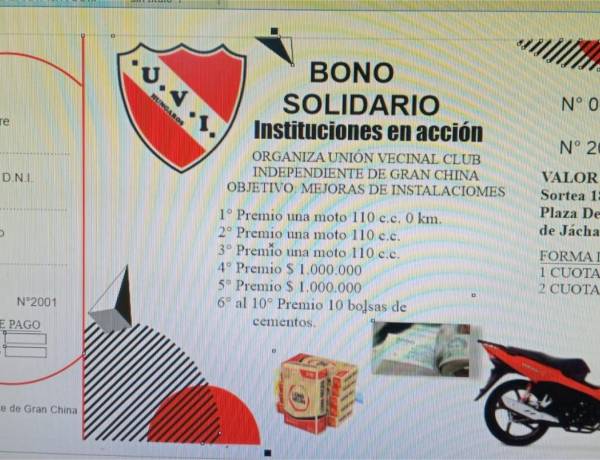 Instituciones en Acción: Bono Solidario de Independiente de Gran China