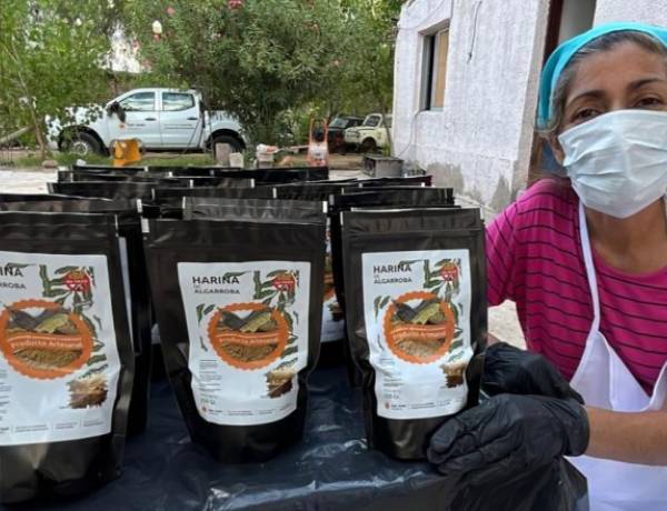 Fortalecen el uso sustentable del bosque nativo con la producción de harina de algarroba