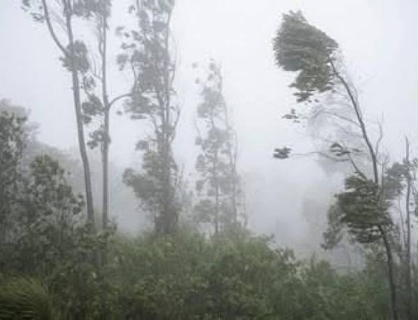 Alerta meteorológica: Se advierte la ocurrencia de fuertes vientos, para la madrugada y mañana de este miércoles 1 de julio.
