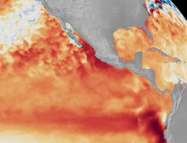 Un sistema nacional de alerta sanitaria y respuesta anticipada: así se prepara Argentina para enfrentar a El Niño