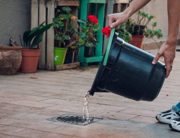 Dengue: recomiendan sostener las medidas de prevención y eliminar criaderos
