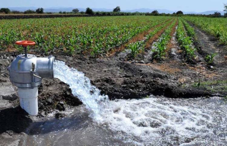 Informe Oficial  Del INA SCRAS: “Quedan 12 años de reserva si continúa la extracción sin control de agua subterránea”
