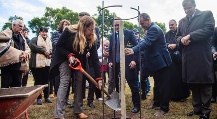 Plantaron un olivo como símbolo de la paz en la semana de la olivicultura