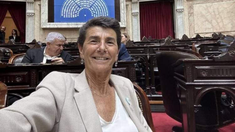 Diputados: presentan un proyecto para eliminar el vencimiento de la licencia de conducir