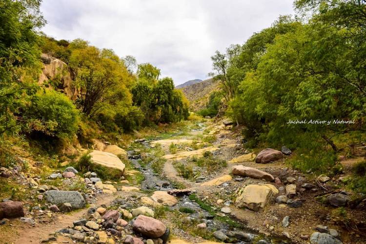 Informe Oficial del INA - SCRAS: “El acuífero de Pampa del Chañar, es la única reserva de agua para consumo humano de la Ciudad de Jáchal”