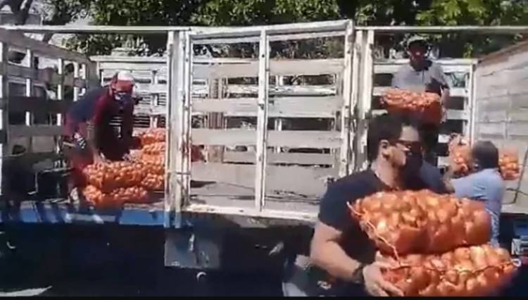 Situación agrícola de Jáchal: “Nos tenemos que defender ahora, porque después va a ser más difícil y tarde…”