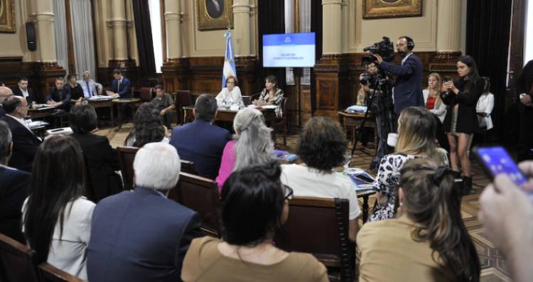 Ficha Limpia: el oficialismo y bloques dialoguistas lograron dictamen en el Senado