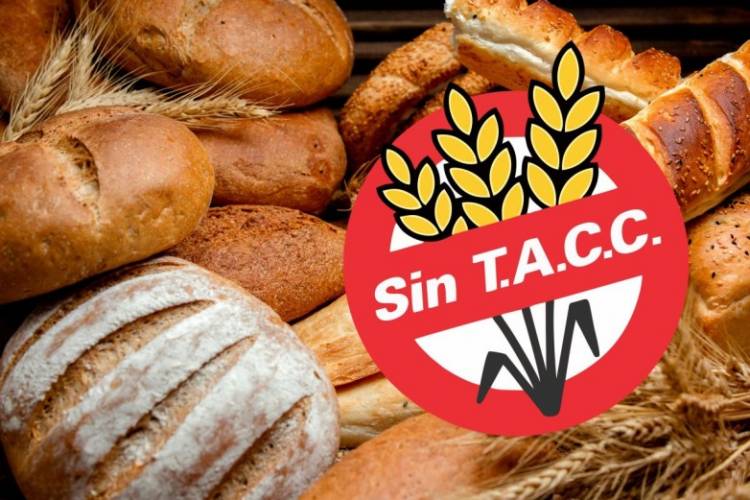 San Juan refuerza controles para garantizar opciones sin TACC en el Día de la Celiaquía