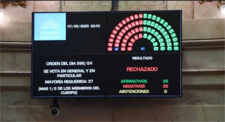 El Senado rechazó Ficha Limpia: los misioneros Arce y Rojas Decut bloquearon la ley junto al kirchnerismo
