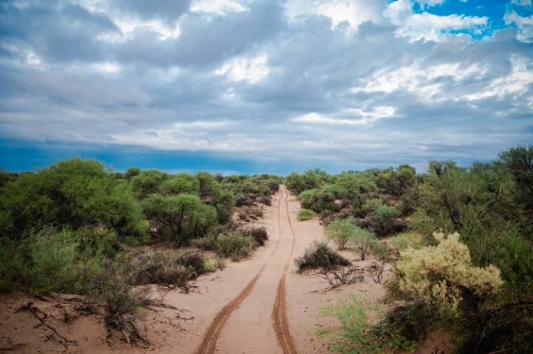 Ambiente lanza concurso para visibilizar el valor del bosque nativo a través de la fotografía