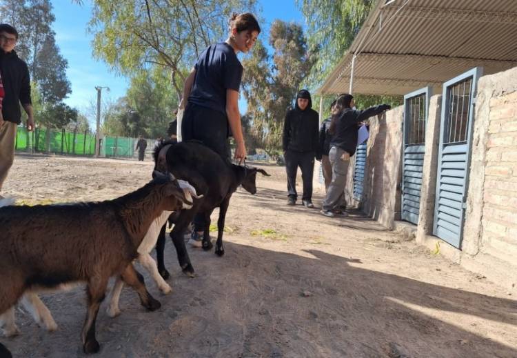 Con más de 1.500 alumnos, así será la expo de las escuelas agrotécnicas