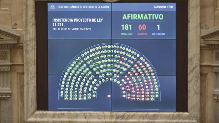 Contundente rechazo a los vetos de Milei: Diputados ratificó el financiamiento del Garrahan y las universidades