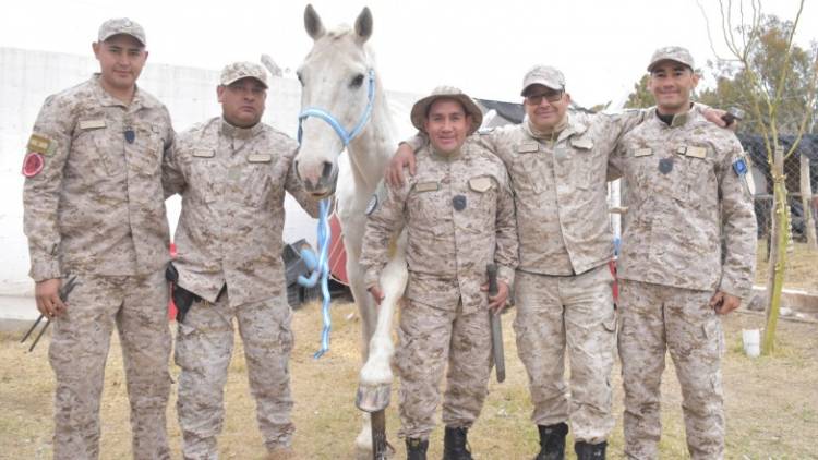 La División Rural recupera y cuida caballos rescatados del maltrato